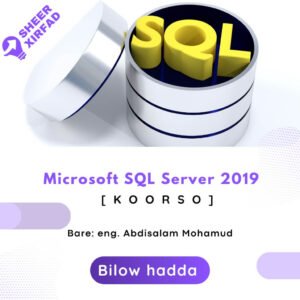 Microsoft SQL Server 2019